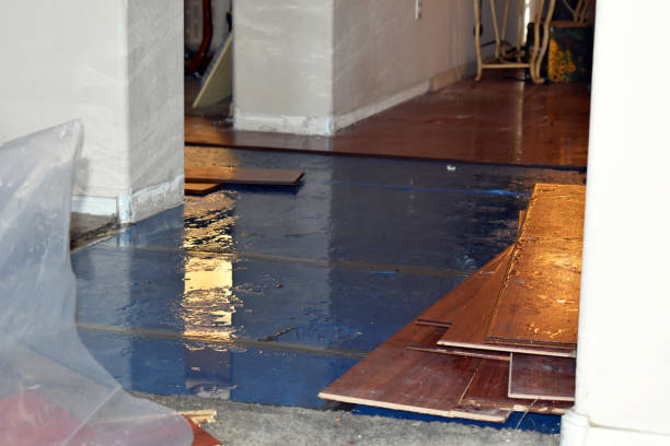 Professional Sewage Cleanup technician working in Athens, MI